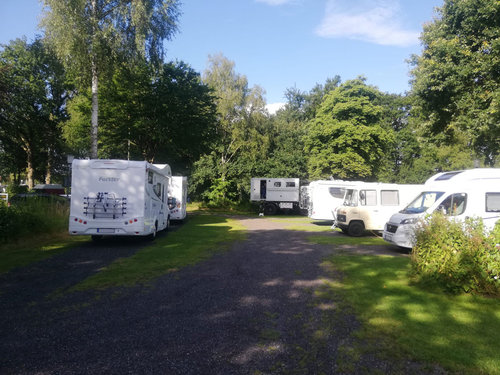 campingplatz vogelzunge platzangebot dauerstellplätze