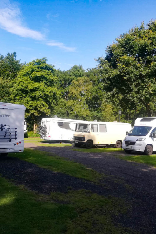 campingplatz vogelzunge platzangebot dauerstellplätze campingplatz vogelzunge platzangebot dauerstellplätze